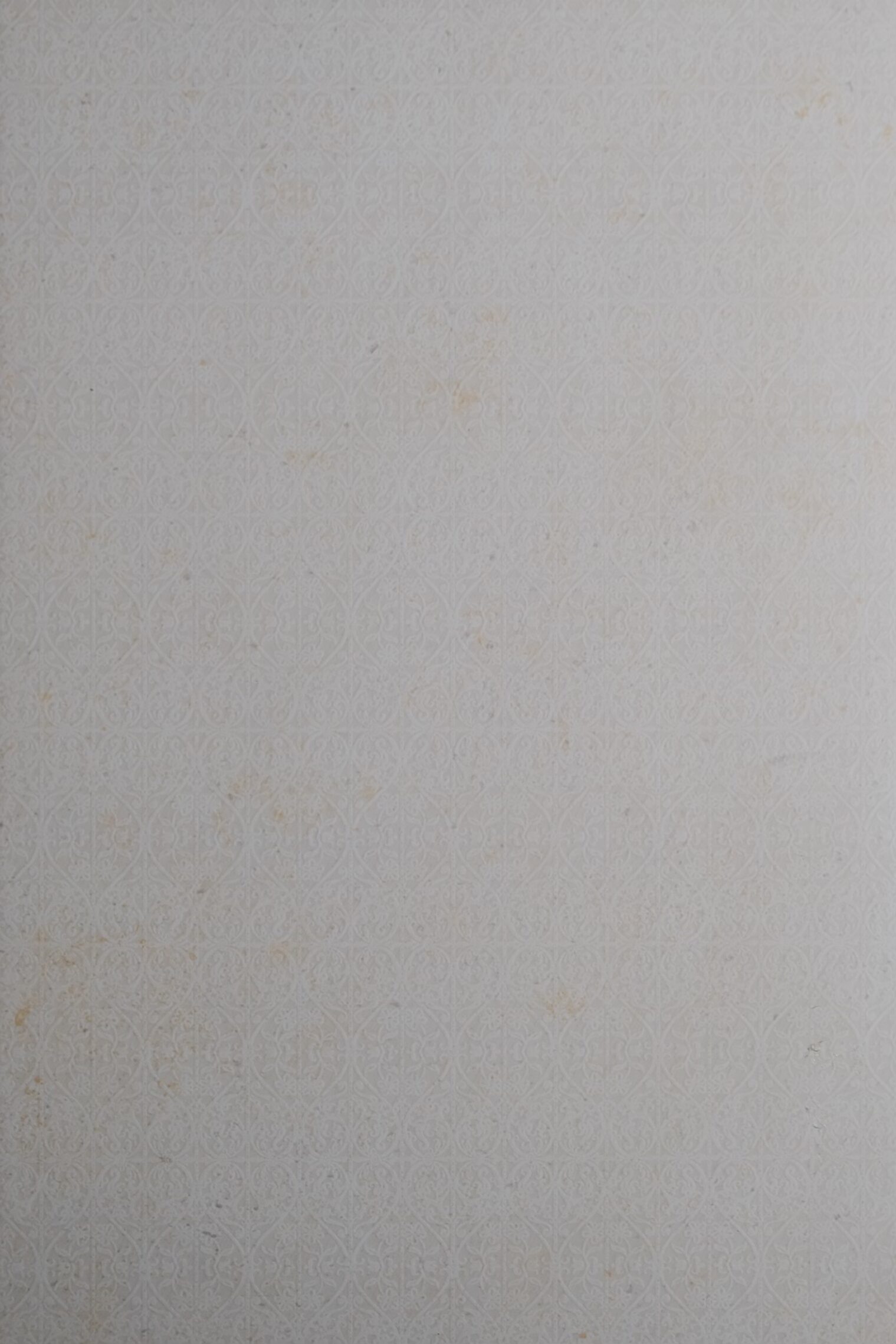 COMEDY MARFIL - Image 2