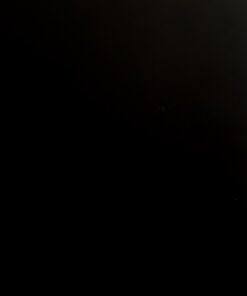 HOLLYWOOD PLAIN BLACK