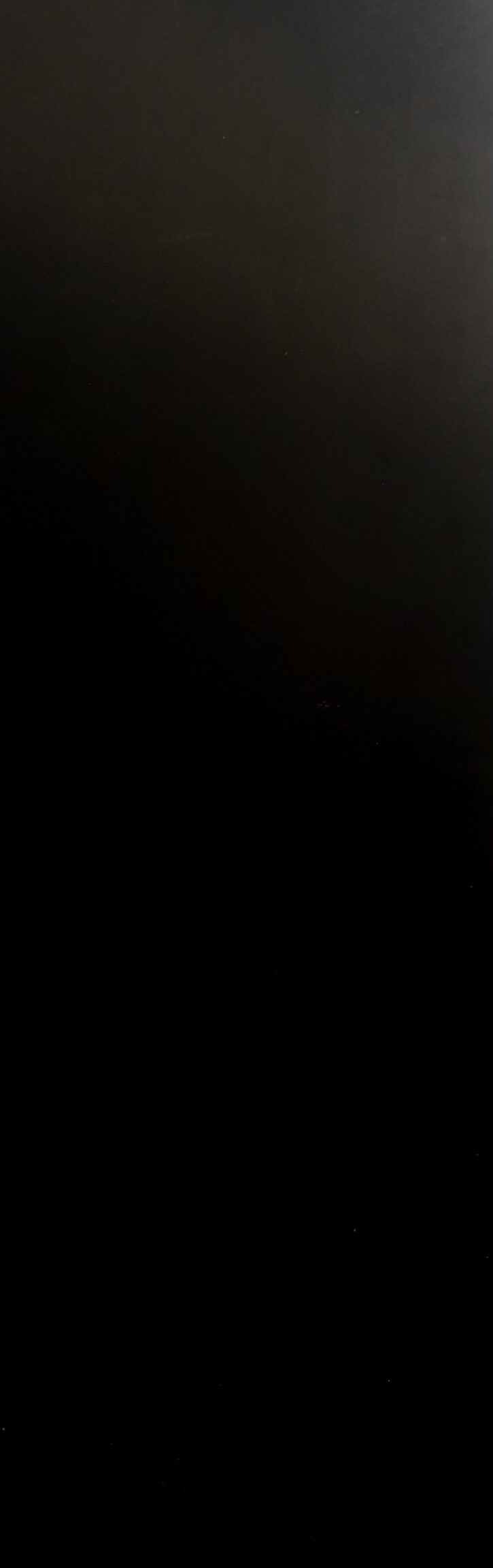 HOLLYWOOD PLAIN BLACK