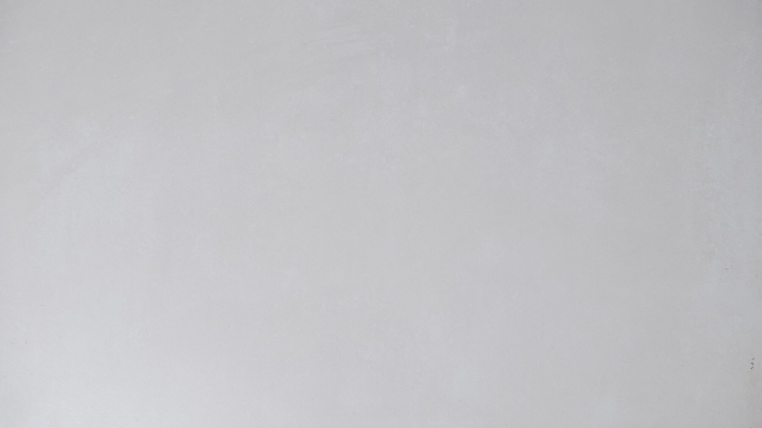 LYON BLANCO - Image 2