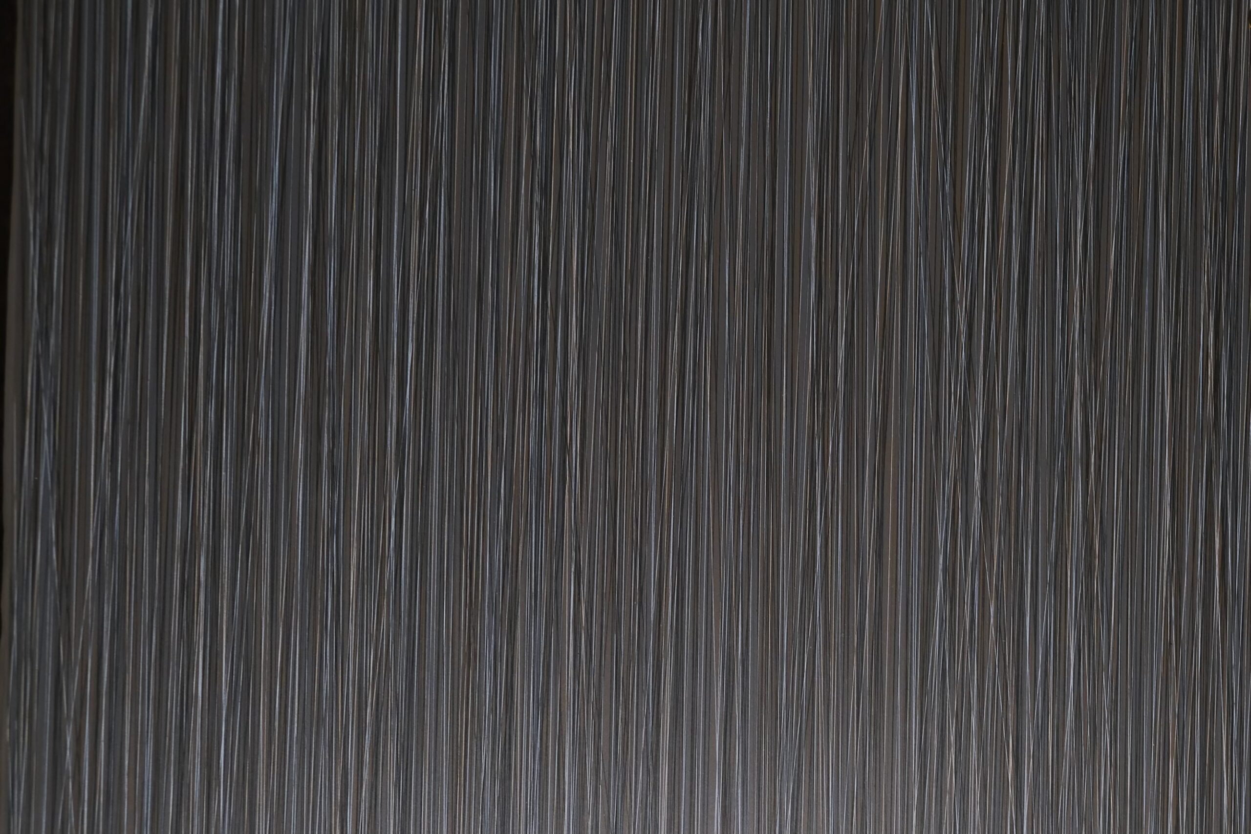 LINO NEGRO - Image 2