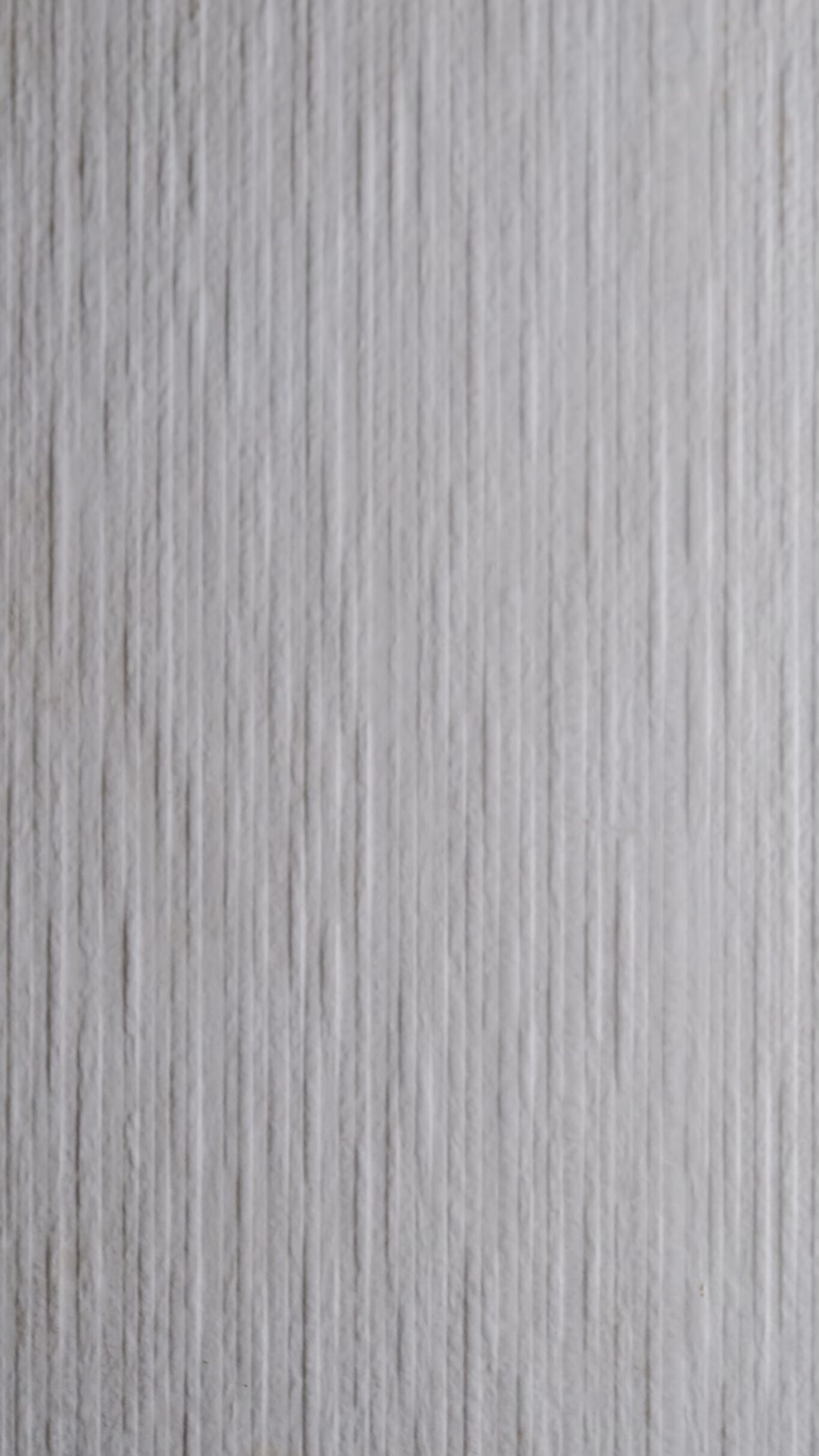 MORAVIA WHITE - Image 2