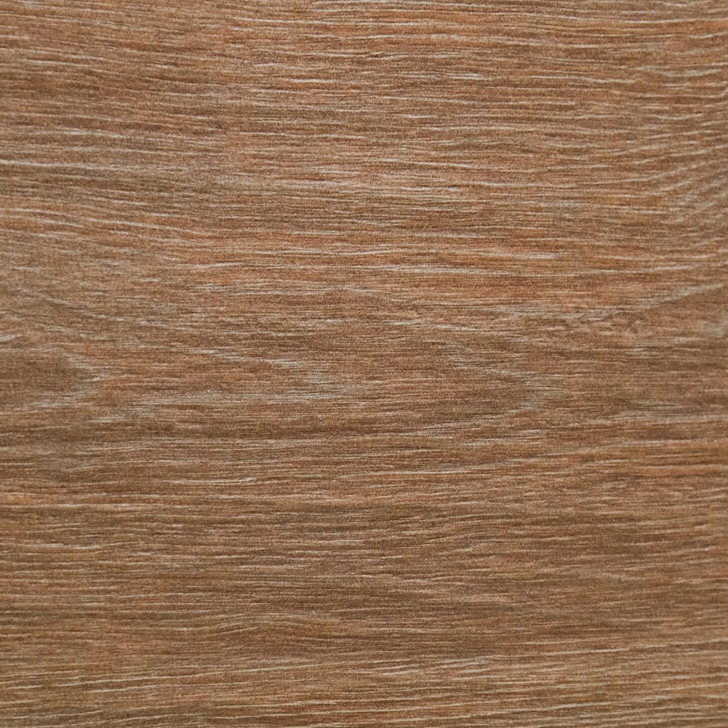 Bear Ronne Beige MT - Image 2