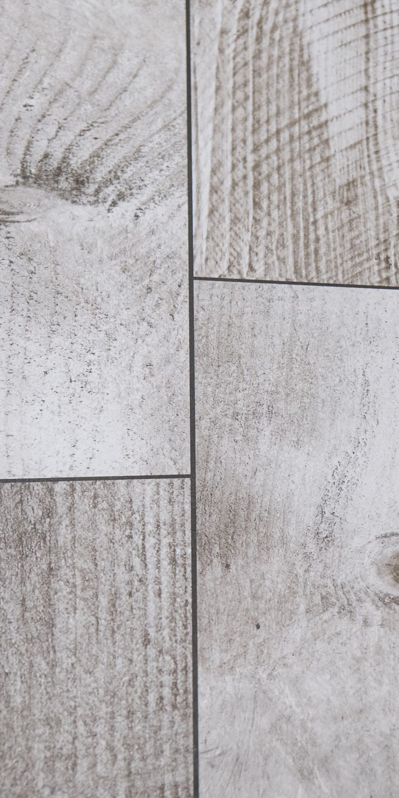 NACKA GRIS - Image 2