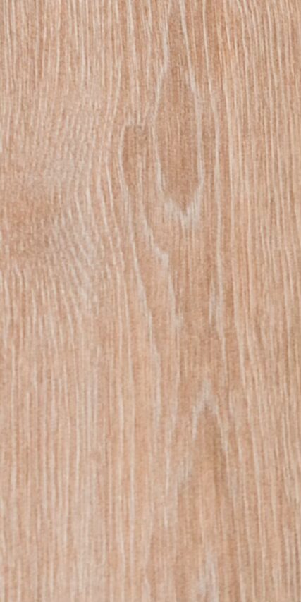 Baer Beige - Image 2