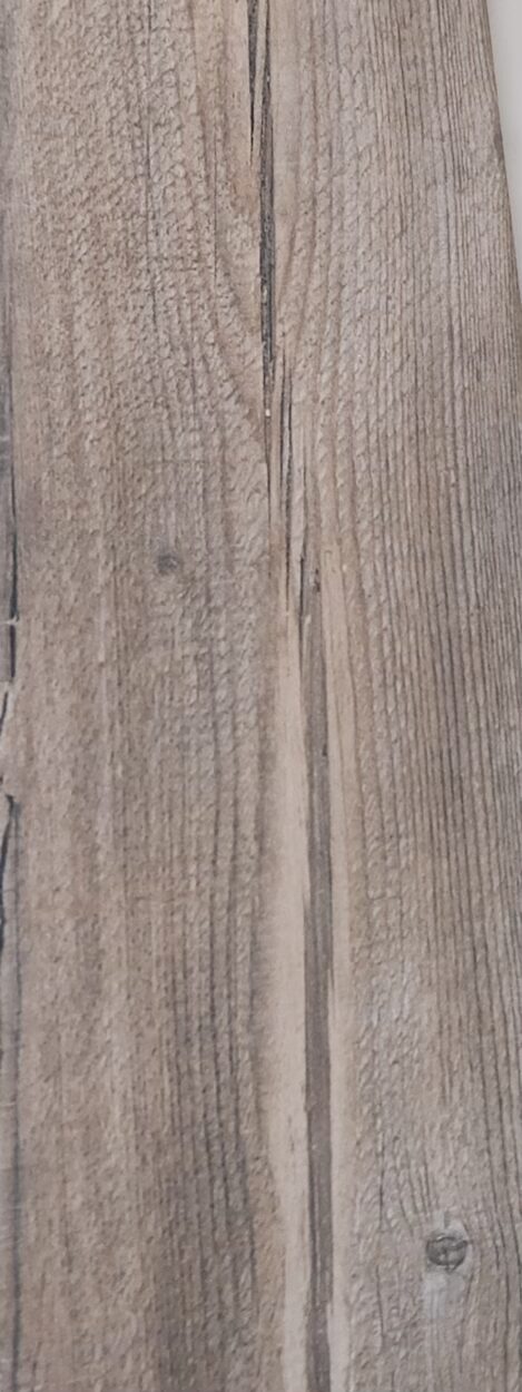 Salem Walnut MT - Image 2